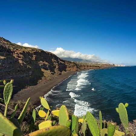 Dragos Del Mar , Espacio Natural La Orotava Zewnętrze zdjęcie