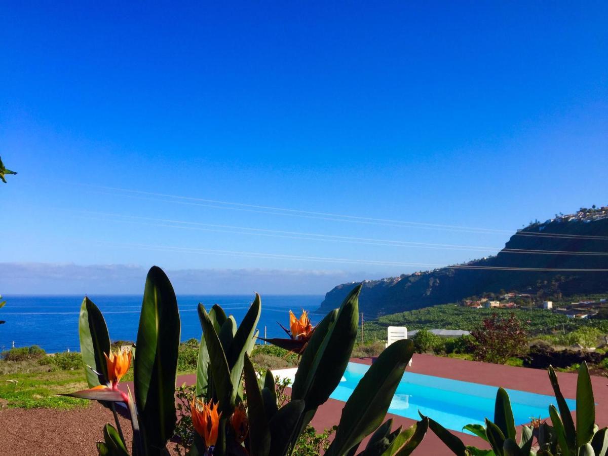 Dragos Del Mar , Espacio Natural La Orotava Zewnętrze zdjęcie