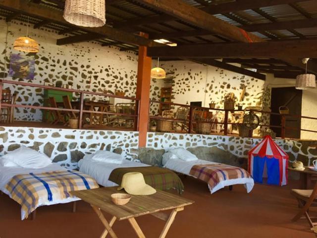 Dragos Del Mar , Espacio Natural La Orotava Zewnętrze zdjęcie
