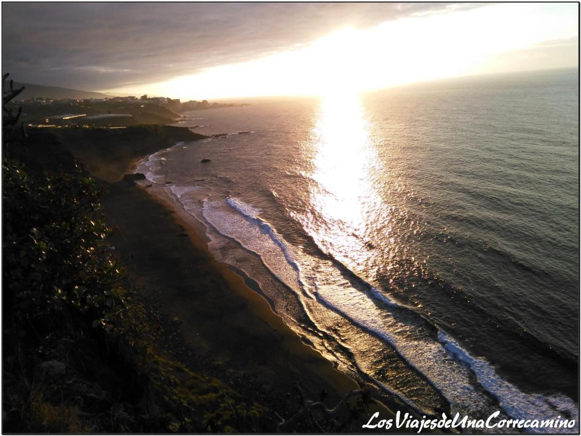 Dragos Del Mar , Espacio Natural La Orotava Zewnętrze zdjęcie