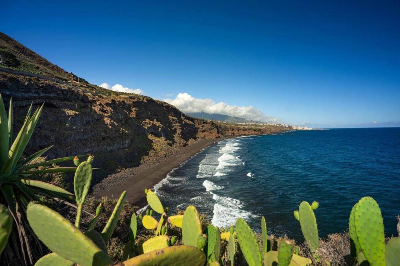Dragos Del Mar , Espacio Natural La Orotava Zewnętrze zdjęcie